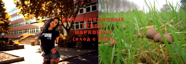 ПСИЛОЦИБИНОВЫЕ ГРИБЫ Долгопрудный