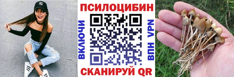 Псилоцибиновые грибы Psilocybine cubensis  Реутов 